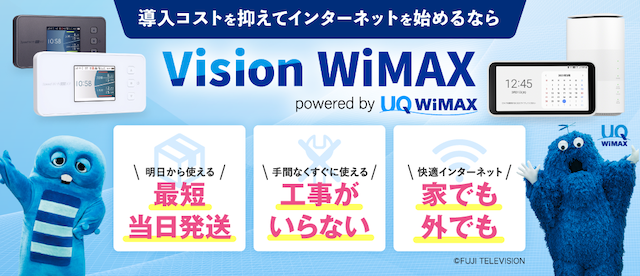 Vision WiMAX top