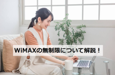 WiMAX 無制限