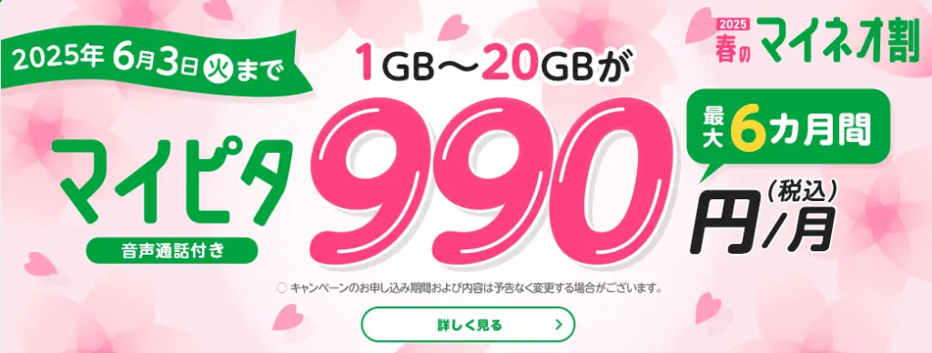 mineoマイピタ1～20GB 最大6カ月間990円キャンペーン