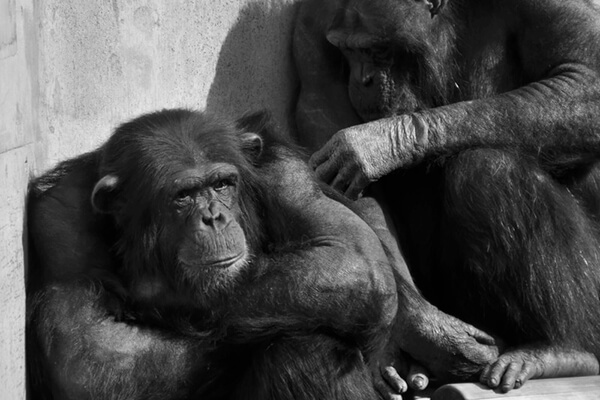 ※結果がうまく説明できないイメージ