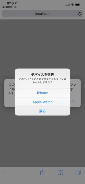 プロファイルをインストールすると接続できる