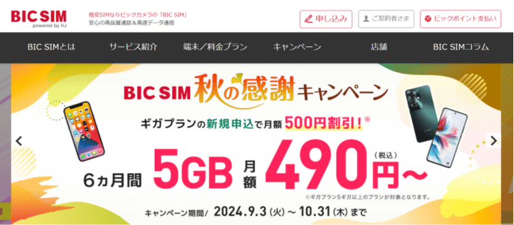 BIG SIM_MV