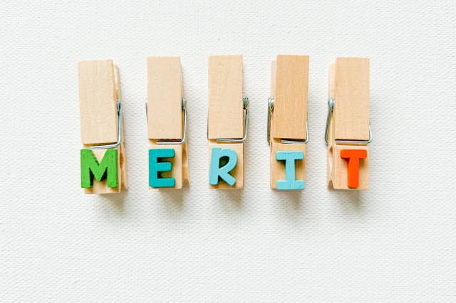 HORIE MOBILE メリット